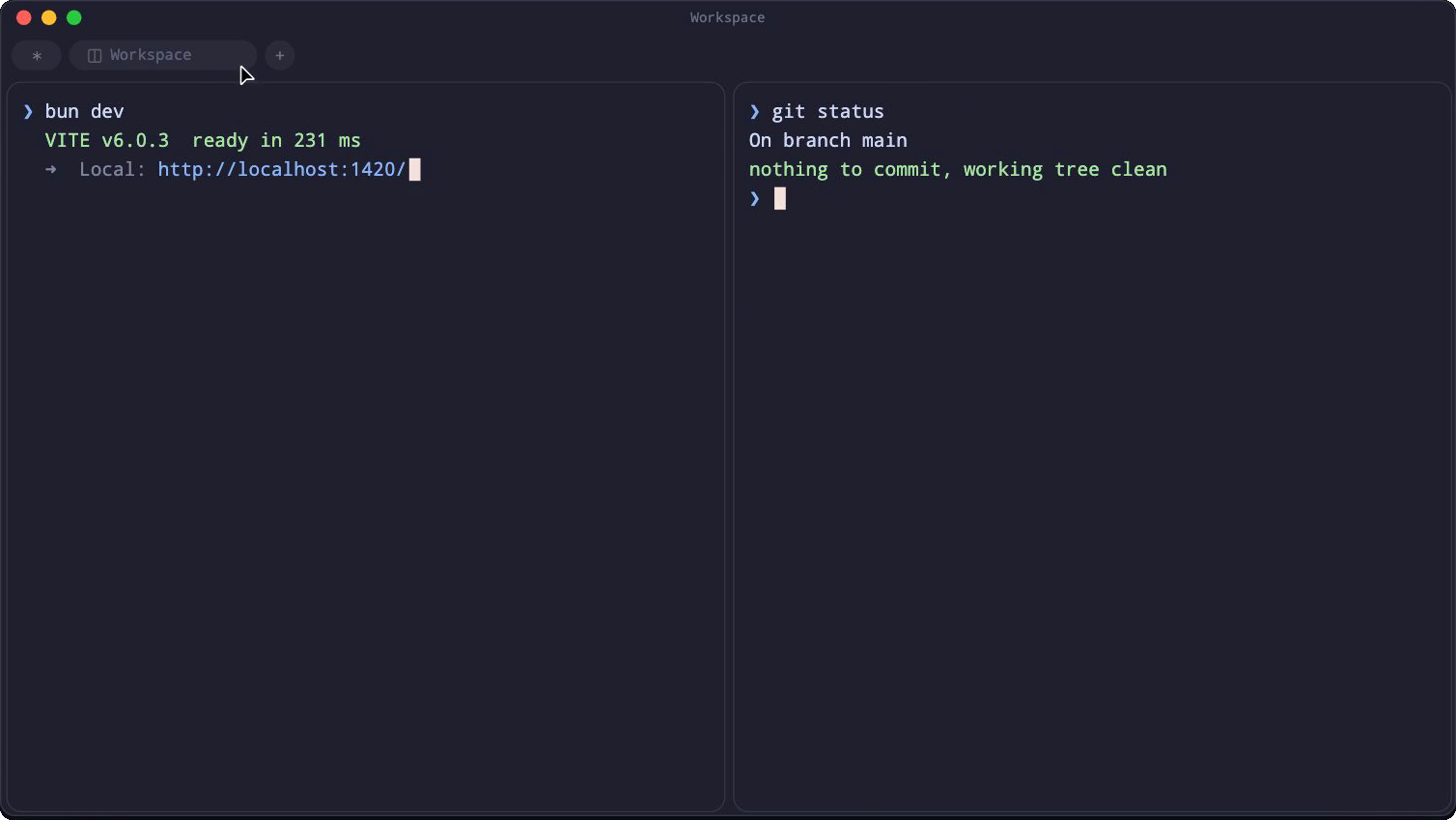 Prmpt window split into two terminal panes, running a Vite dev server next to git status